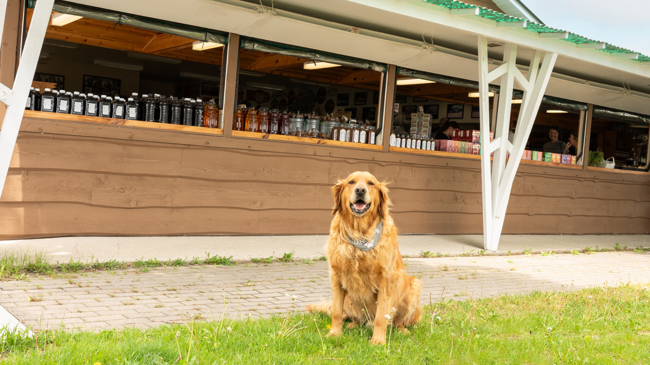 Koepsel's Door County Recommendations: A Local Family's Guide