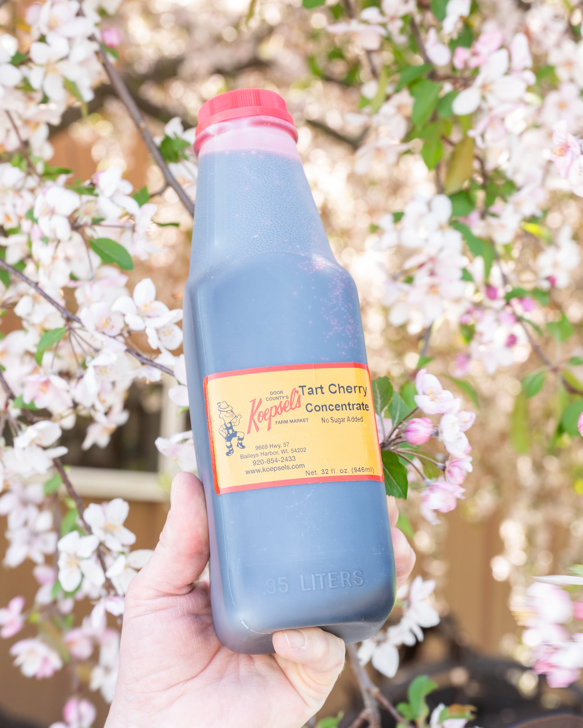 Tart Cherry Concentrate