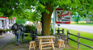 Koepsels Farm Market ~ Door County Wisconsin ~ Oldest Farm Market